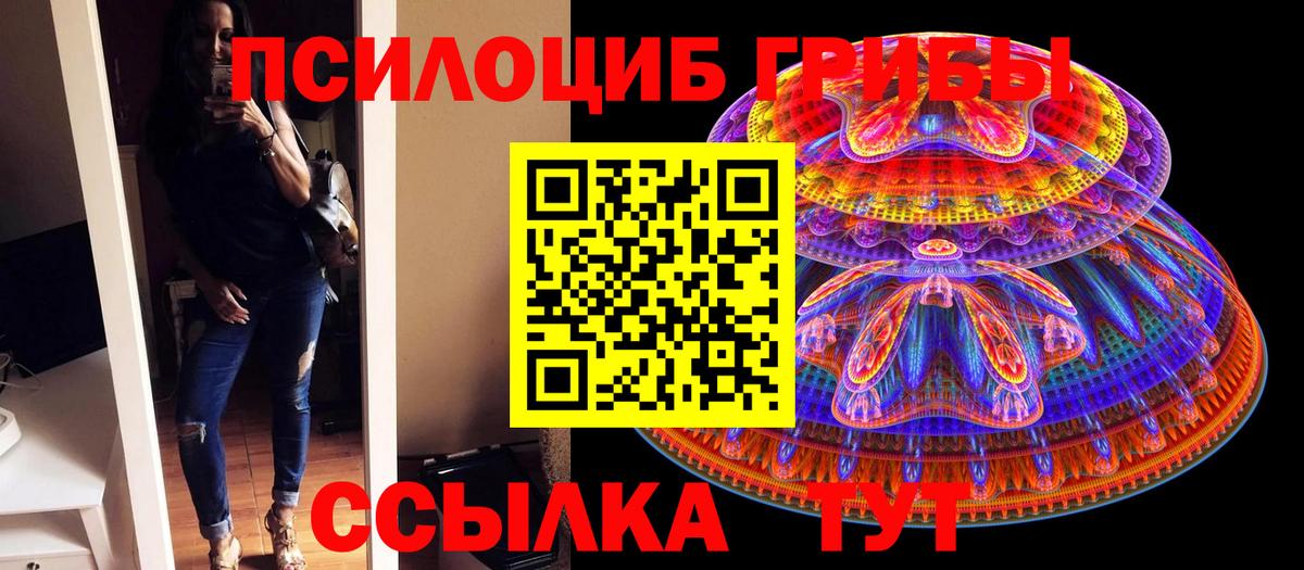 Югорск  Псилоцибиновые грибы Cubensis  как найти закладки  Вход с VPN 
